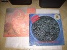 2 LP Morbid Angel - Blessed are the Stick e Altars of Madness - 33 giri LP