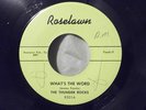 WHAT'S THE WORD - JOHNNY SAX - The Thunder Rocks -7