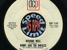 HEAR Kenny & Impacts - Wishing well