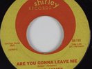 Northern Soul 45 JESSIE JAMES Are You Gonna Leave Me SHIRLEY HEAR