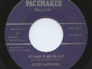 Rare Soul / Reggae 45 - Jesse Harrison - No Man Is An Island - LISTEN - VG