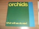The Orchids Sarah Records Sarah 23 What Will We Do Next 3 Song ep EX/EX Twee C86