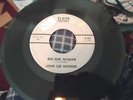 record 45 rare Blues John Lee Hooker on Elmor Big Fine Woman / Blues for X VG++