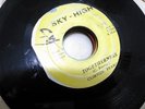 CLINTON FEARON - TOGETHERNESS // VERSION / SKY - HIGH 45RPM / G ++    ACTUAL PIC