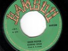BURNING SPEAR - DOOR PEEPER // CEDRIC BROOKS - SOUL FOOD - BAMBOO