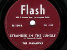 THE JAYHAWKS - STRANDED IN THE JUNGLE / MY ONLY DARLING - FLASH 78RPM (1956)