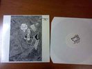 RUDIMENTARY PENI Cacophony OUTER HIMALAYAN LP