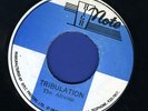 2012  THE AFRICAN-TRIBULATION-HIGH NOTE- REGGAE 45 7