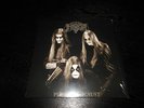 Immortal - Pure Holocaust Grey LP Burzum Mayhem Emperor Enslaved