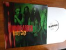 Soundgarden Rusty Cage EP White Label PROMO NM VINYL 91 A&M ORIG Record RARE