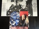 RADICAL STUFF - HARDASWALLOW DOPPIO LP VINILE
