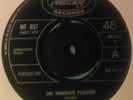 THE EYES - THE IMMEDIATE PLEASURE Mercury Records  original freakbeat