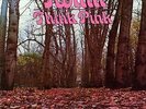 twink - think pink--  re-issue-  LP