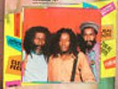 REDMAN DIGI REGGAE LP CULTURAL ROOTS ROUGHER YET ?