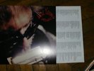NEIL YOUNG Unplugged RARE LP Allemand Pochette interieure