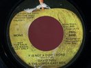 DAVID PEEL. F IS NOT A DIRTY WORD/BALLAD OF J..JOHN LENNON.YOKO ONO.DJ 45.HEAR