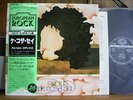 ALBERTO RADIUS - CHE COSA SEI Italy cantautore VINYL LP Japan Obi