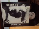 SACCHARINE TRUST Paganicons '81 ORIG SST 006 PUNK LP Rare w/Insert EXC