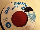 SHAKA / DONT GIVE UP / JAH SHAKA / UK ROOTS