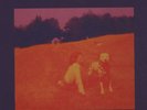 Eels - Blinking Lights US 4LP Box