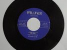 Sting Rays - Minnesota garage 45 on Welhaven 