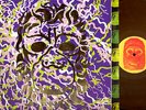 PORTUGAL THE MAN Censored Colors 2 LP GOLD VINYL orig PRESSING rare NM-