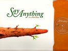 SAY ANYTHING Is A Real Boy 2 LP OOP Orange Wax RARE nm-