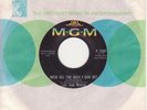 Suzi Jane Hokom-Need All The Help I Can Get/Home-60's Girl Garage Rock 45-MGM