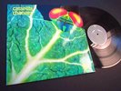 CATAPILLA - CHANGES / ORIG MINT- VERTIGO SWIRL 6360074 D LP  HEAVY PROG