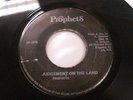 Prophets Judgement On The Land 45 Prophets Records 1976
