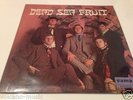 DEAD SEA FRUIT CAMP MONO 603 001 RARE 12