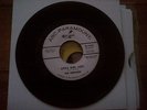 Little Girl Lost - The Shepards - ABC Label - Demo - Mint