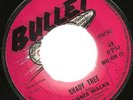 Shady tree