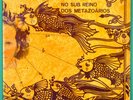 LP MARCONI NOTARO NO SUB REINO DOS METAZOARIOS LULA CORTES PAEBIRU POKORA BRAZIL