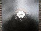 GUIDED BY VOICES GBV 