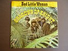 The Shadows of Knight- BAD little Woman with Picture Sleeve RARE 1966