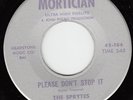 THE SPRYTES*PLEASE DON'T STOP IT*GARAGE FUZZ NEW MEXICO