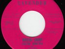 LEON SMITH*BASIC SURF* HOT 60's SURF ROCKER GARAGE BEAT