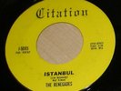 PRIVATE 1963 WI Rockabilly 45 - THE RENEGADES 