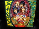 LP RAMONES acid eaters SPANISH rare 1993 VINYL vinilo