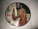 Metallica F++k In Peoria Picture Disc LP