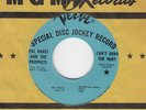 PAL RAKES & THE PROPHETS US DJ *CAN'T DENY THE HURT* NM