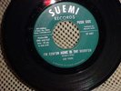 Lou Pride 45(Suemi)-'I'm Comin' Home...'-vinyl original