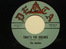 FALLS CHURCH, VA GARAGE BAND - RARE 45RPM RECORD - THE APOLLOS - DELTA 183
