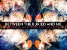 Between The Buried And Me The Parallax Hypersleep Dialogues 12 Vinyl Clear