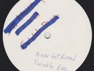 TWINKLE BROTHERS Never Get Burn / Jah Kingdom Come UK blank 12