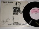  PUNK 7IN DIY,DAVID BUNNY,NOT THAT SONG AGAIN,