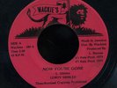 Leroy Sibbles - Now You're Gone US orig 7