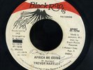 Trevor Hartley - Africa We Going JA orig 7