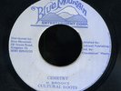 Cultural Roots - Cemetry JA orig 7